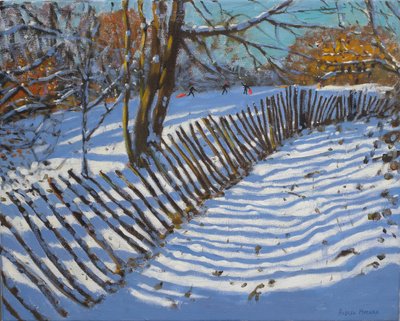 Leaning Fence, 2011 by Andrew Macara