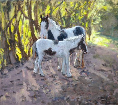 Mare and Foal by Andrew Macara