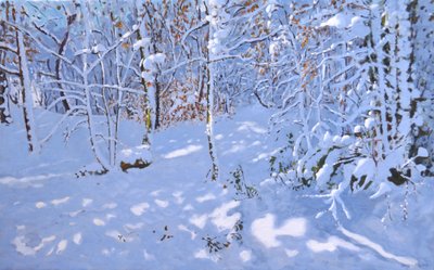 November Snow, Allestree Woods, Derby by Andrew Macara