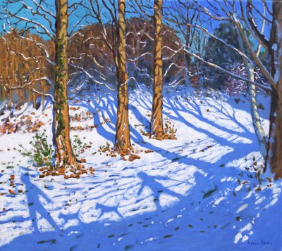 November snow, Allestree Park, Derby by Andrew Macara