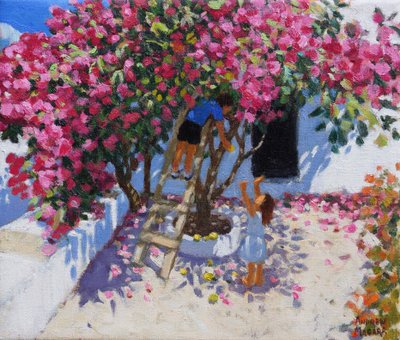 Picking lemons, Skiathos, Greece by Andrew Macara