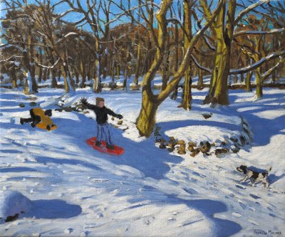 Red Sledge, Lomberdale Hall, Derbyshire by Andrew Macara