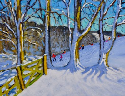 Sledging, Dam Lane, Derbyshire by Andrew Macara
