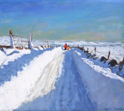 Snowploughed Road, Derbyshire Peak District by Andrew Macara