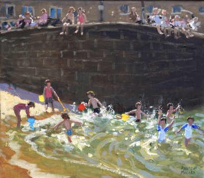 Splashing in Tenby Harbour by Andrew Macara