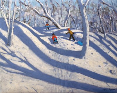 Winter, Bramcote, Nottingham, 2009 by Andrew Macara