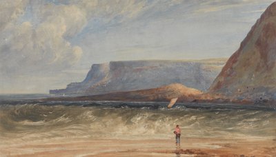 The Coast of Antrim by Andrew Nicholl