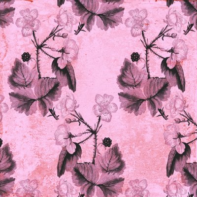 Blackberry Floral by Andrew Watson