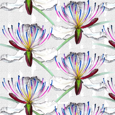 Caper Flowers, 2017 by Andrew Watson