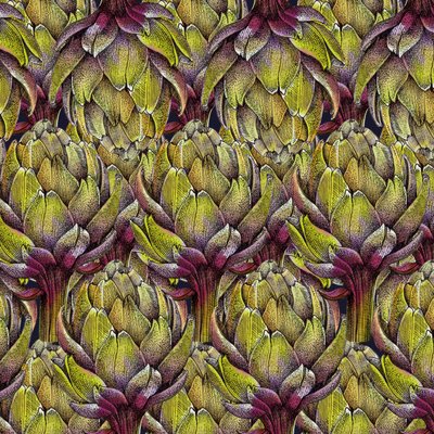 Globe Artichoke Heads, 2018 by Andrew Watson