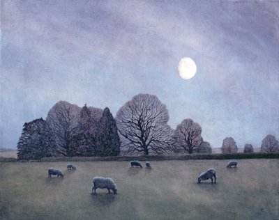 Moonlit Night by Anna Phillips