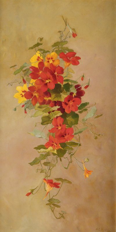 Nasturtiums by Anna Eliza Hardy
