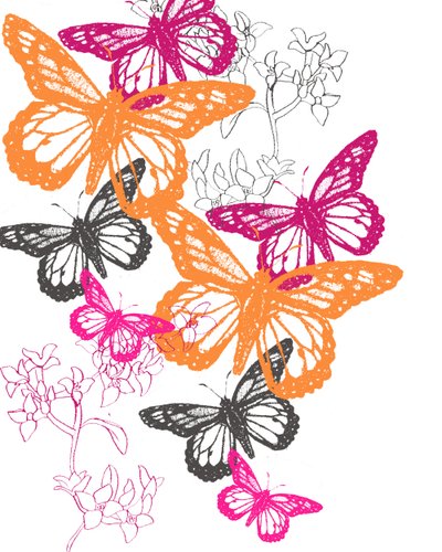 Butterfly by Anna Platts