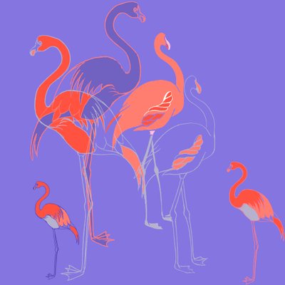 Flamingoes by Anna Platts