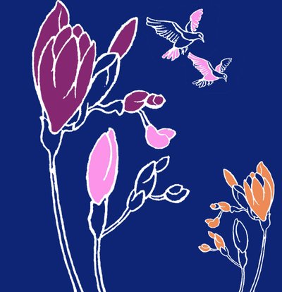 Freesia by Anna Platts