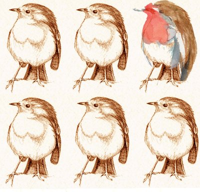 Robin by Anna Platts