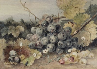 Grapes and Strawberries by Anne Frances Byrne