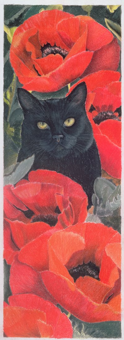 Black Cat with Poppies by Anne Robinson