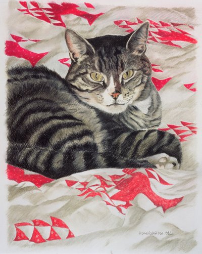 Cat on Quilt by Anne Robinson