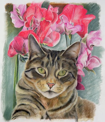 Cat with Sweet Peas by Anne Robinson