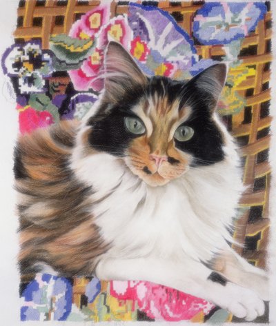 Cleo by Anne Robinson