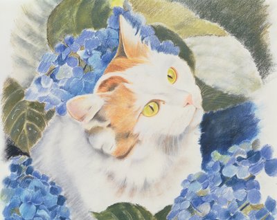 Turkish Van by Anne Robinson