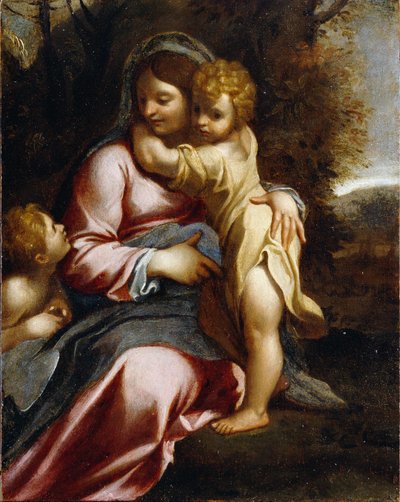 Madonna and Child with Saint John by Annibale Carracci