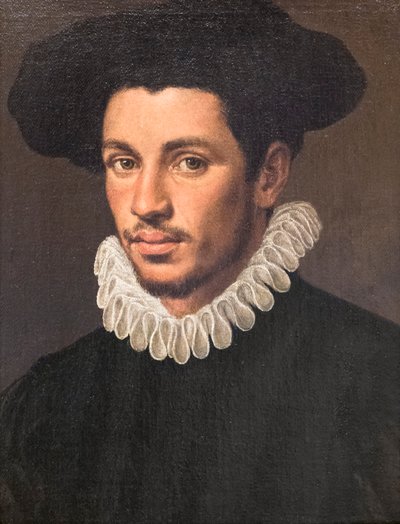 Portrait of a Young Man by Annibale Carracci