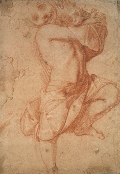 Semi-nude Boy, late 16th century by Annibale Carracci