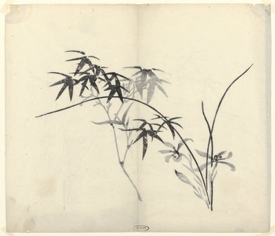 Bamboo and Orchids by Anonymous