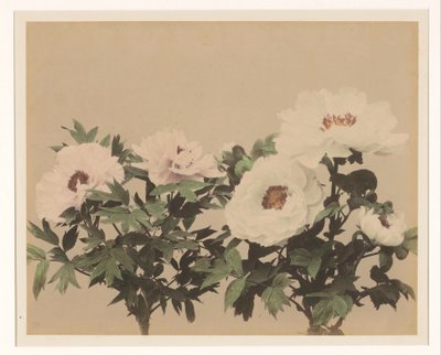 Flower Still Life with Peonies by Anonymous