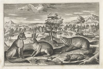 Forest Animals (series title: Quadruped Animals) by Anonymous