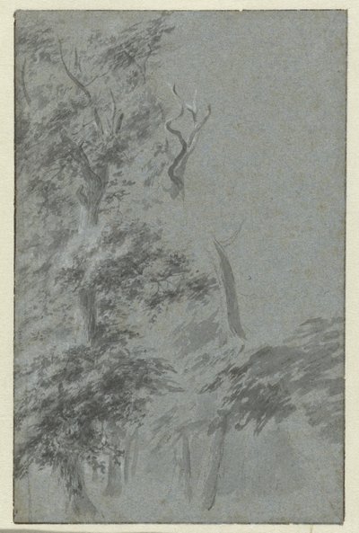 Forest Scene by Anonymous