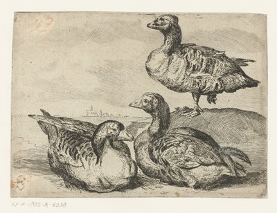 Three Geese by Anonymous