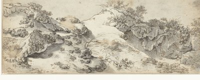 Dune Landscape by Anonymous