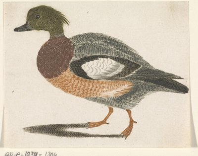 Duck to the Left by Anonymous