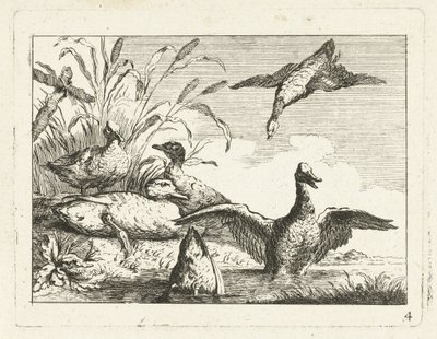 Ducks by a Pond by Anonymous