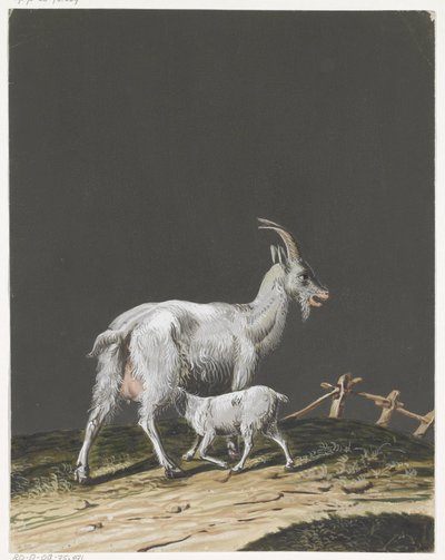 Goat with Suckling Young by Anonymous
