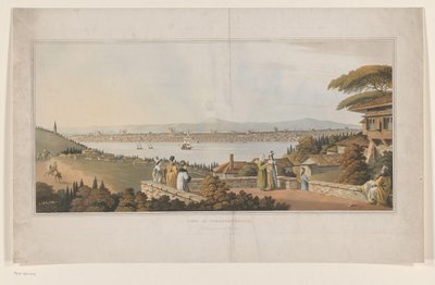 View of Constantinople by Anonymous