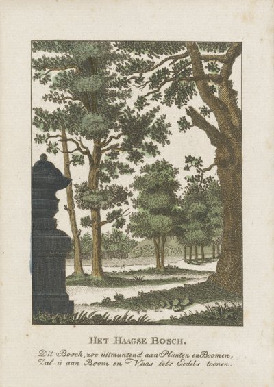 Haagse Bos by Anonymous