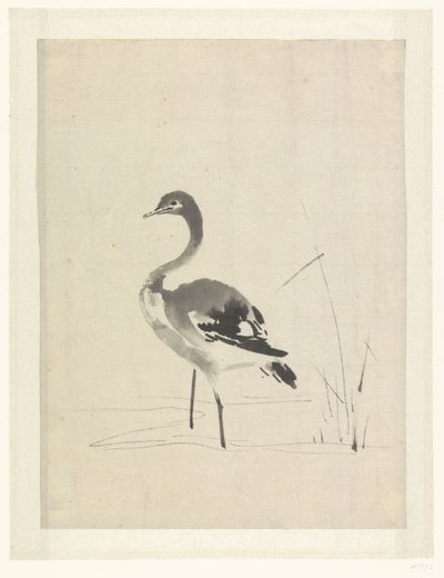 Young Crane by Anonymous