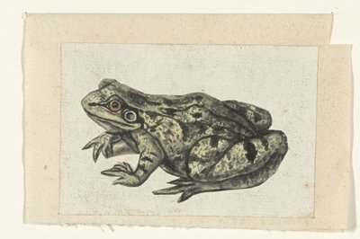 Frog Lombard Album (series title) by Anonymous