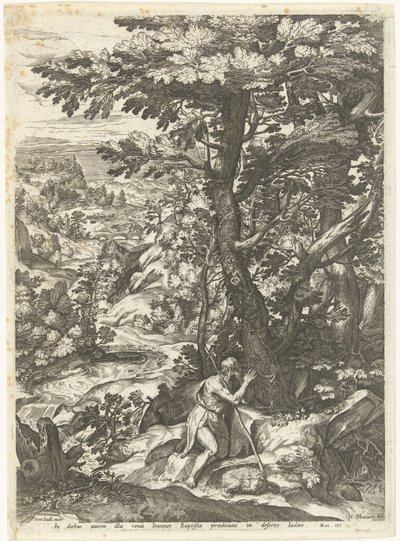 Landscape with John the Baptist by Anonymous