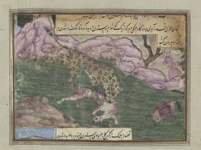 Leopard Killing a Dog by Anonymous