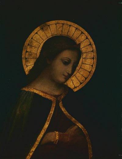 Madonna by Anonymous
