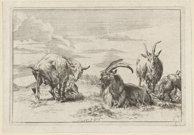 Pissing Ewe with Three Goats by Anonymous