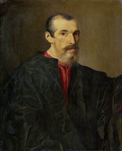 Portrait of a Man by Anonymous