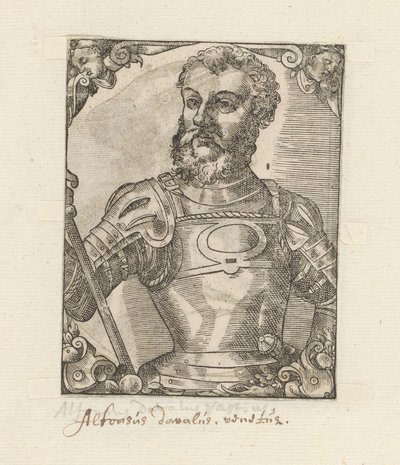 Portrait of Alfonso d
