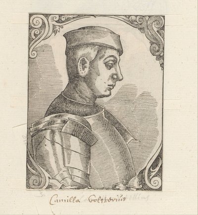 Portrait of Camillus Vitellus by Anonymous