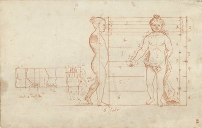 Proportion Study of a Six-Year-Old Girl by Anonymous